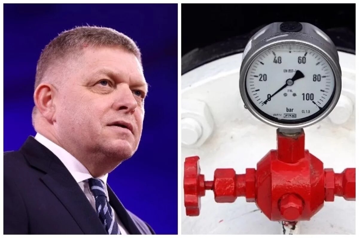    Братислава подаёт иск против Еврокомиссии, чтобы добиться восстановления потока российских газа и нефти в Словакию.