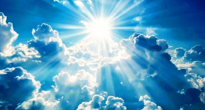 Фото из интернета 