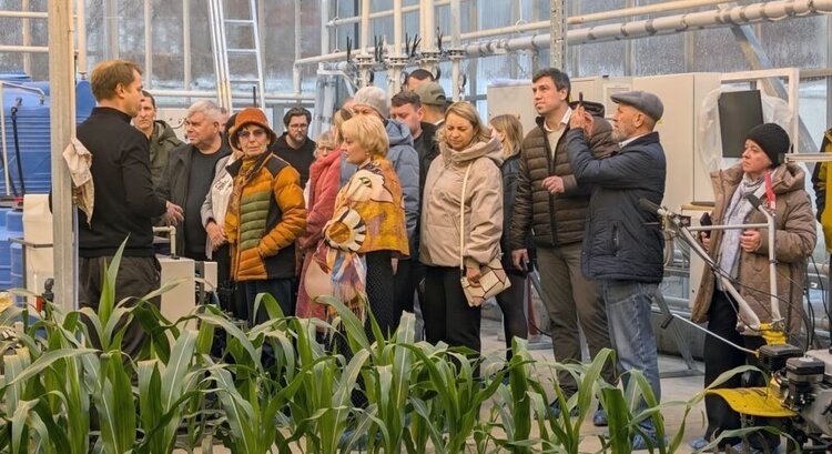    Фото: ВНИИ кукурузы