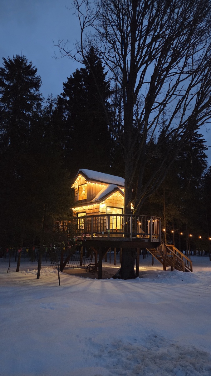 Домик на дереве на территории Эмбиент парка