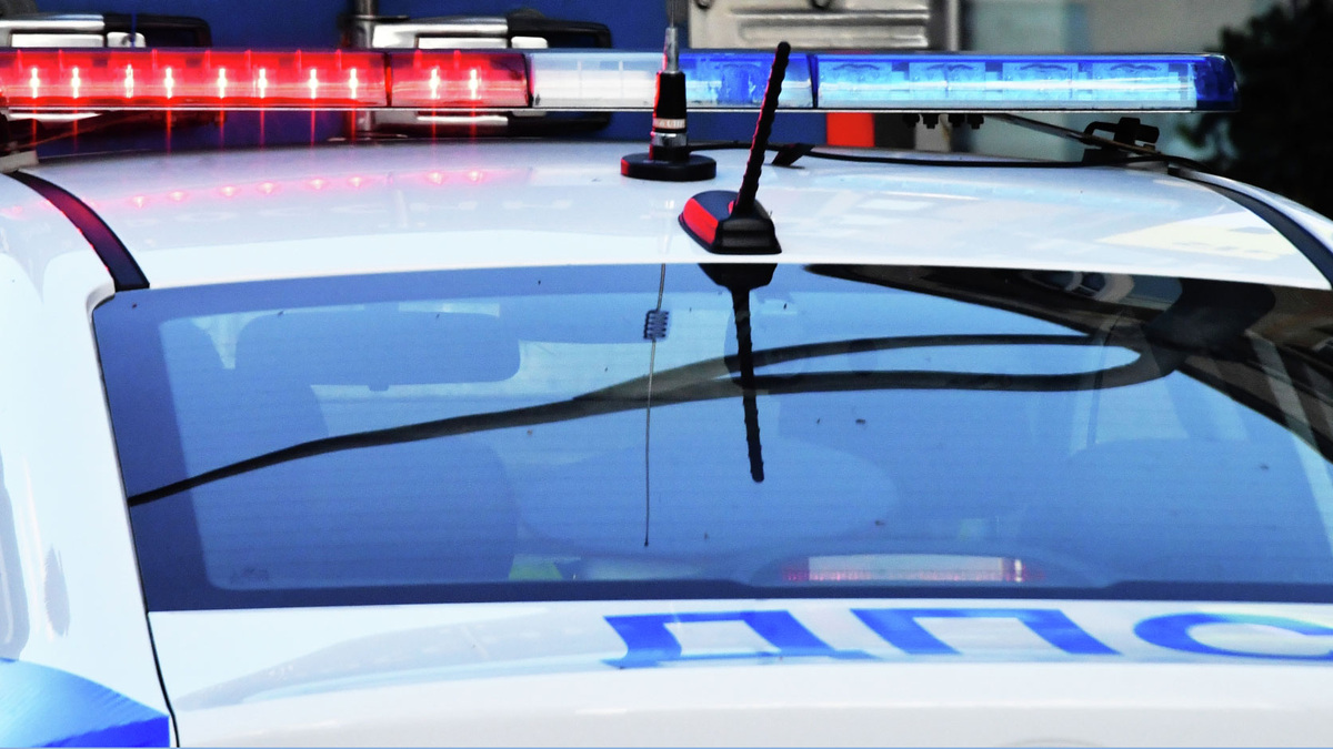    ДПС ГАИ ГИБДД РИА