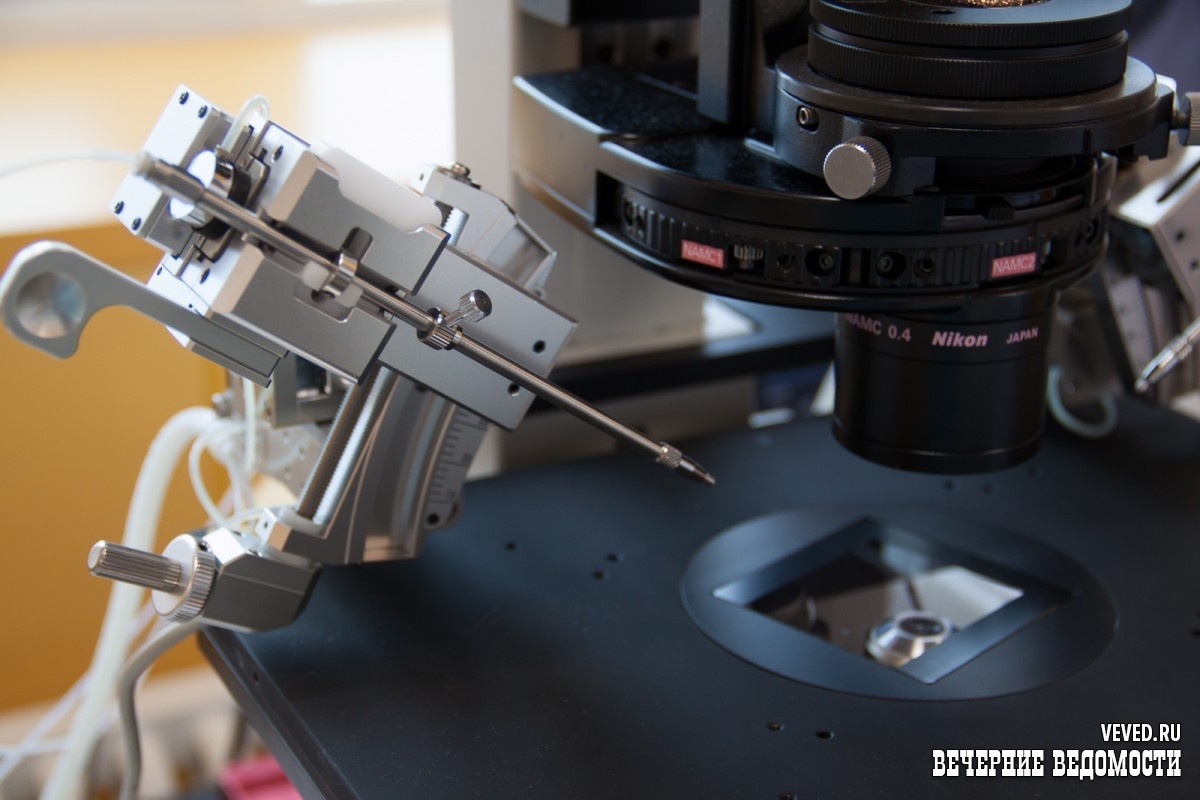     Фото: Вечерние ведомости