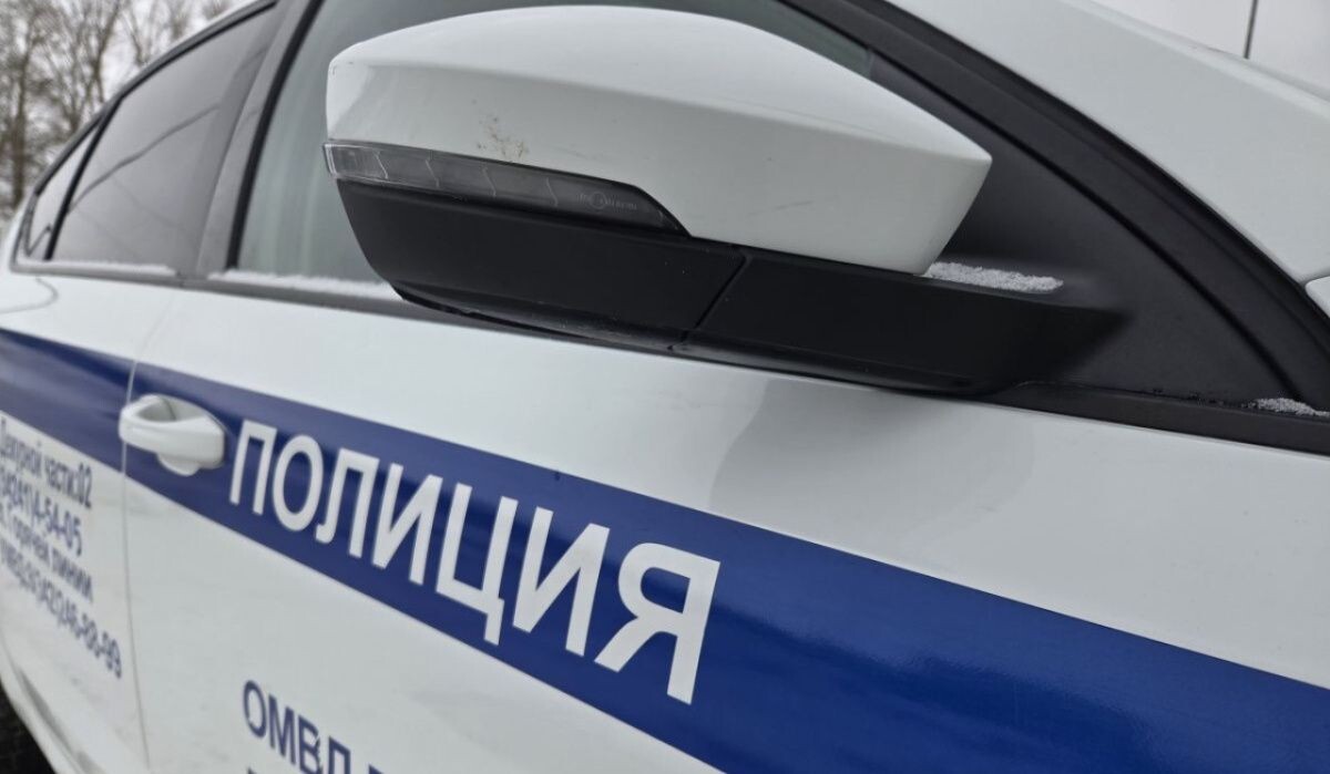     Патрульный автомобиль полиции. Источник: ОМВД по ЧГО Автор фото: Отдел МВД по ЧГО