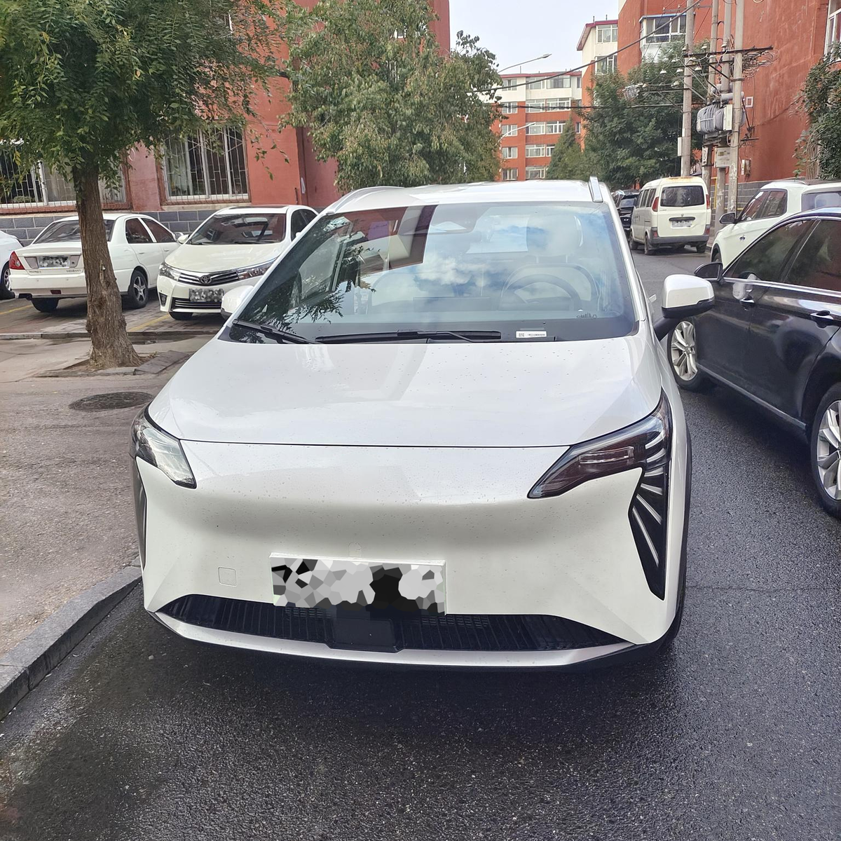   моя рабочая лошадка