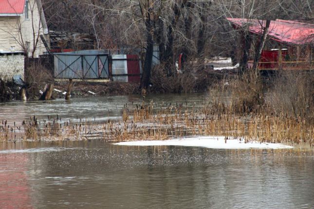 Фото: Дмитрий Куткин («Вечерний Челябинск»)
