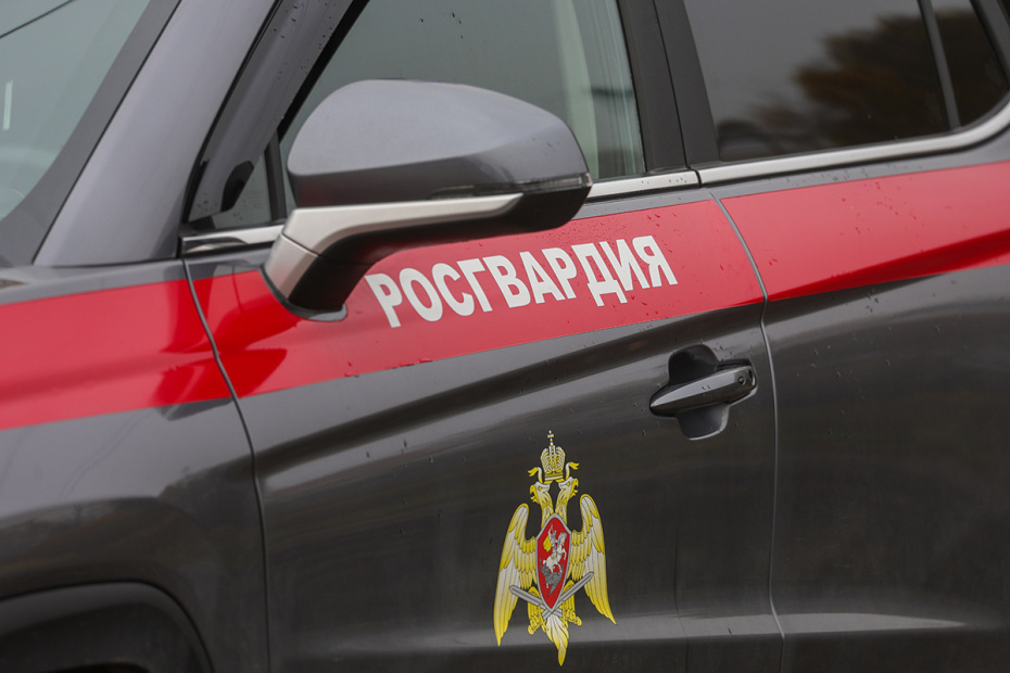    Наталья Шатохина/NEWS.ru