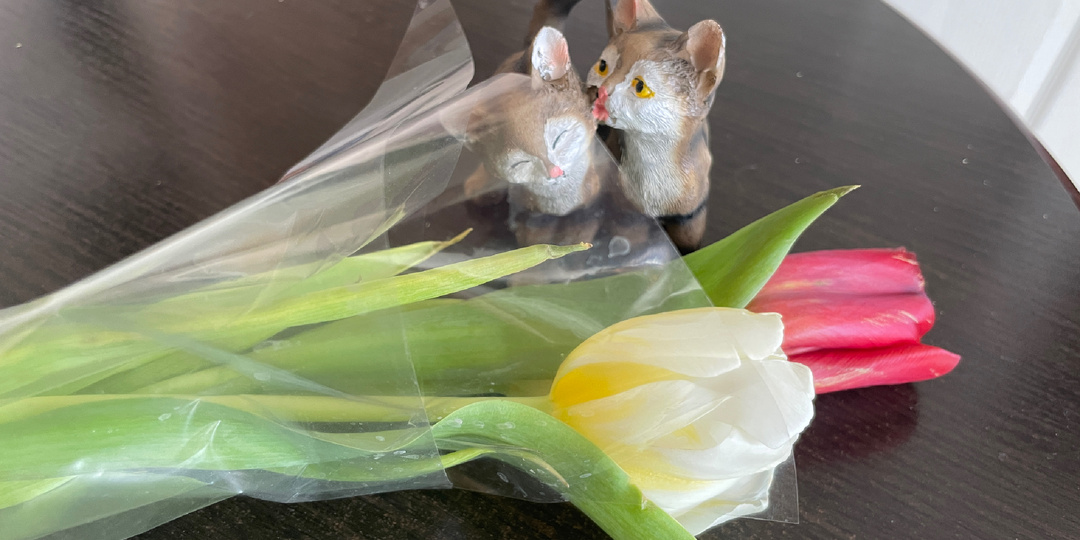 Праздники бывают разными...Как я праздновала 8 марта