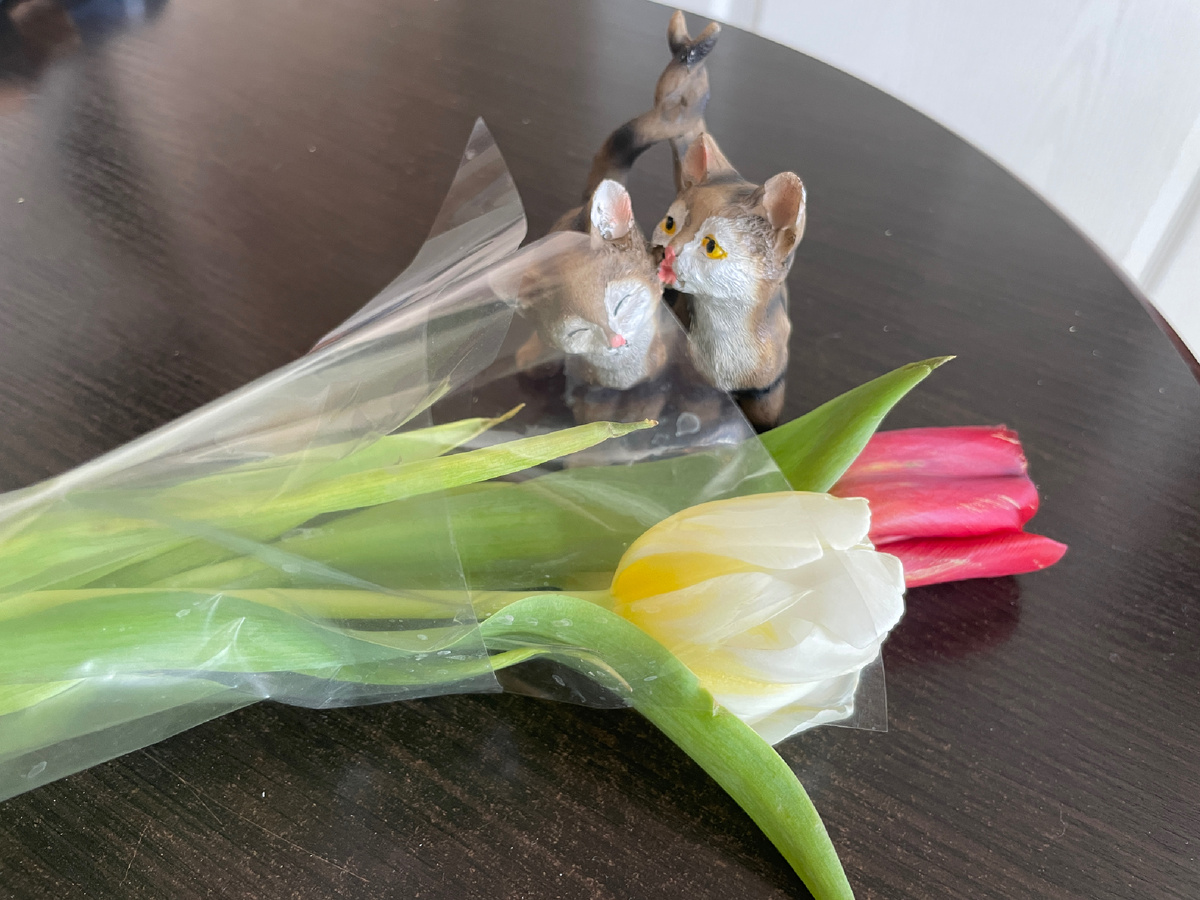 Этих милых котят и букетик тюльпанов подарил мне мой внучок! Какая милота! Спасибо мой мальчик!)