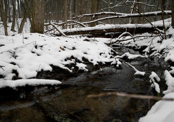 Обложка © freepik