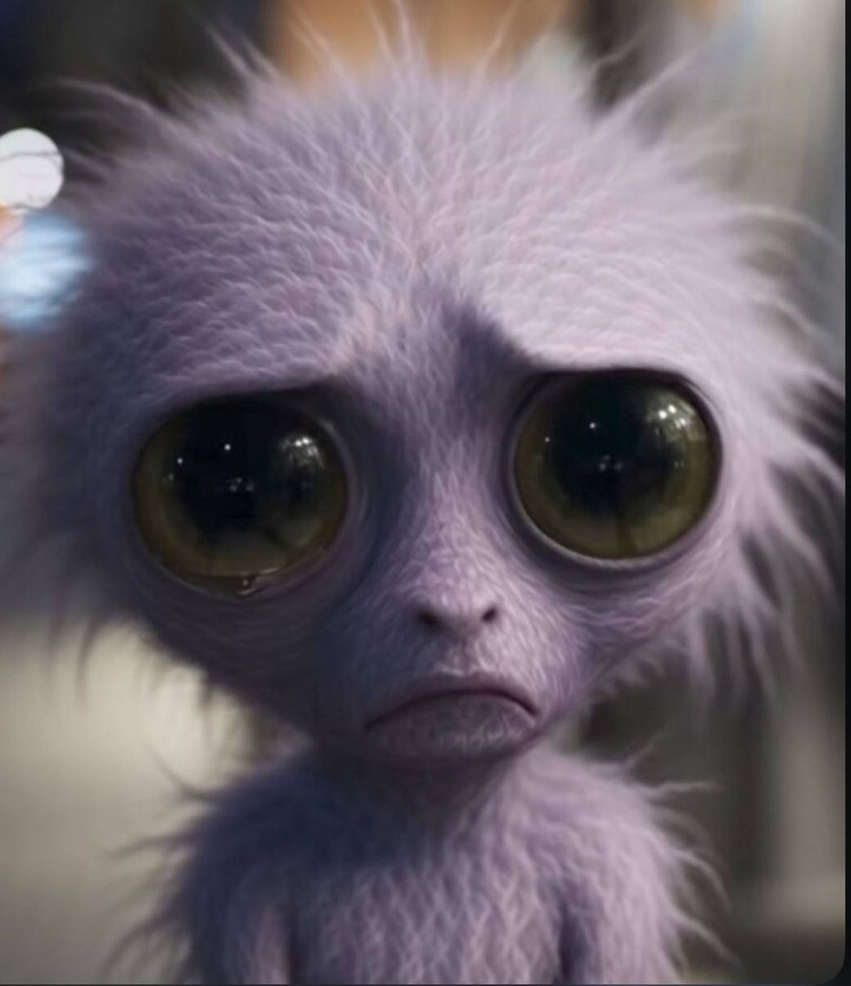    Дрыся вызывает сочувствие и жалость. Фото: соцсети