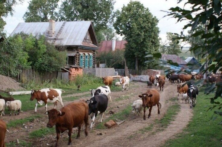 фото из открытых источников