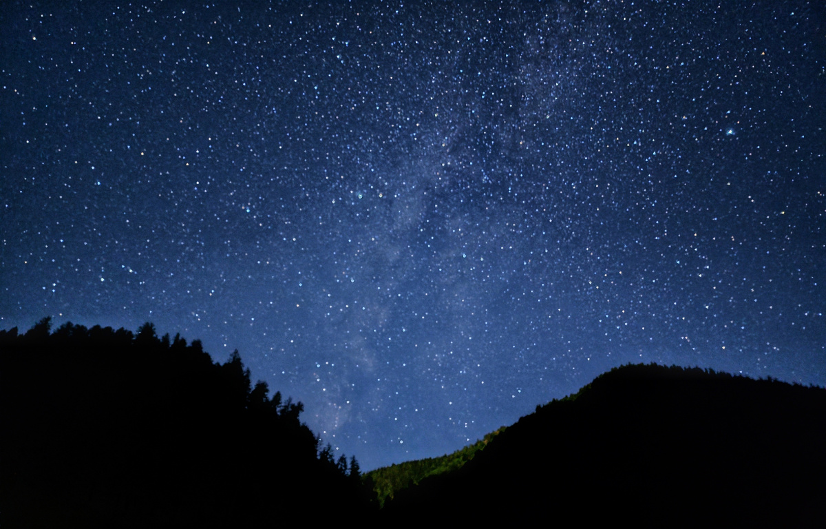 Фото: Shutterstock