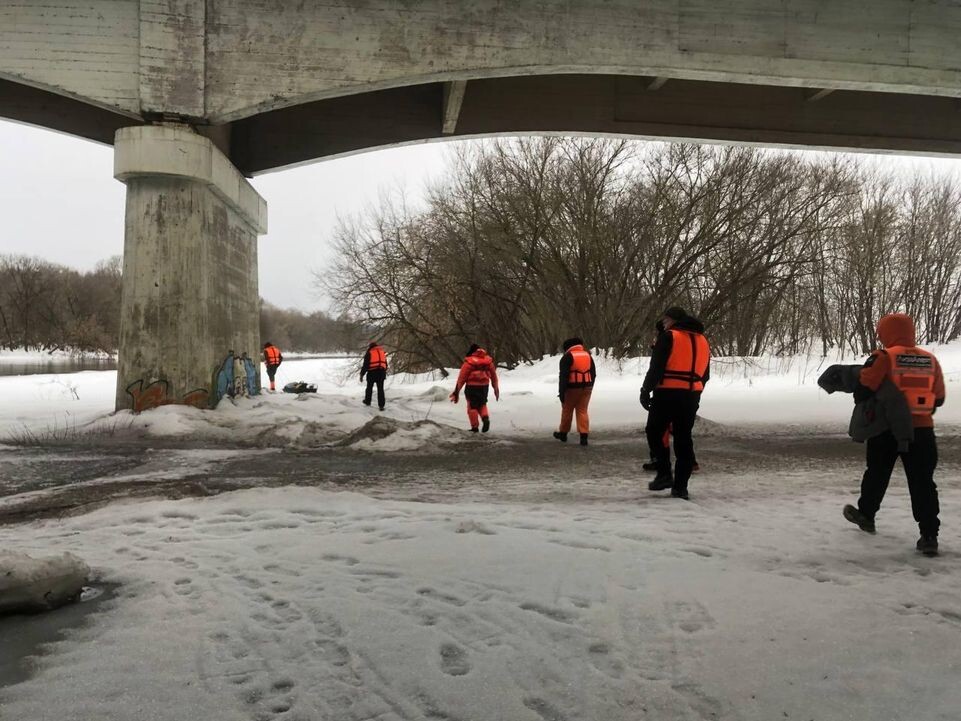    поисковый отряд «Лиза Алерт»