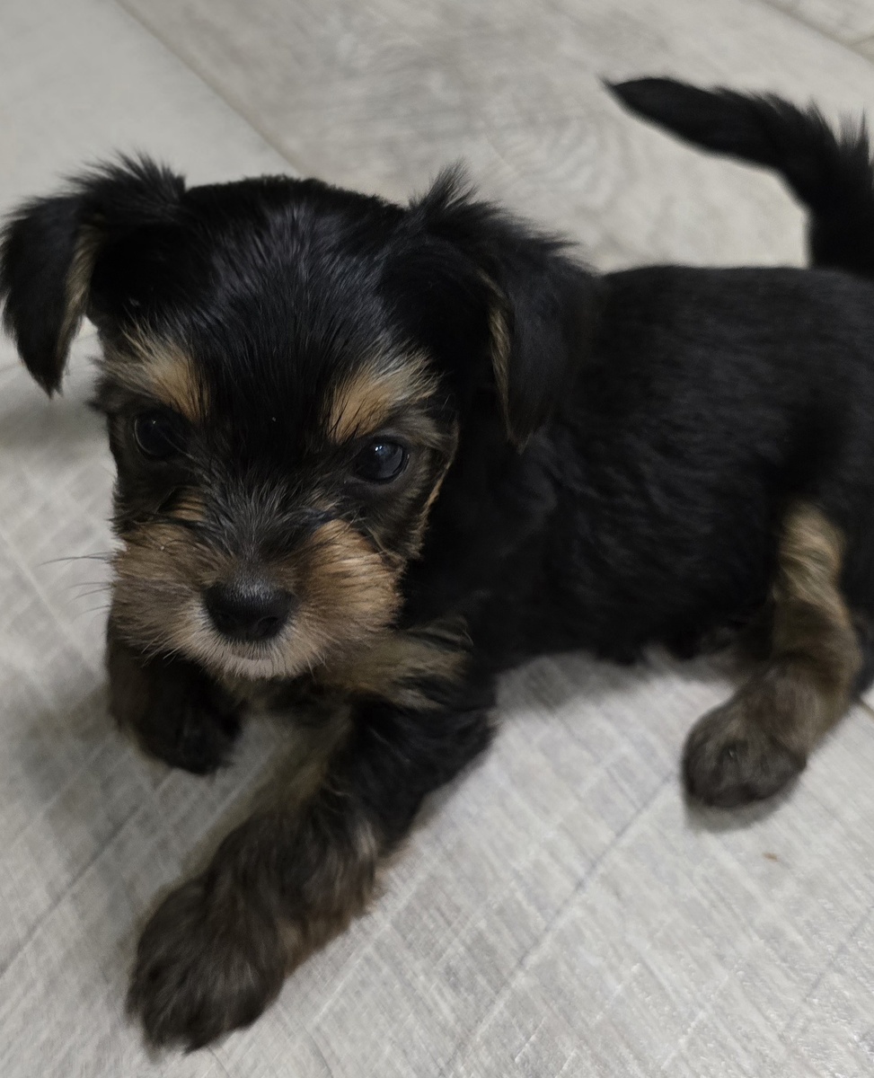 Моня - Активыш в детстве