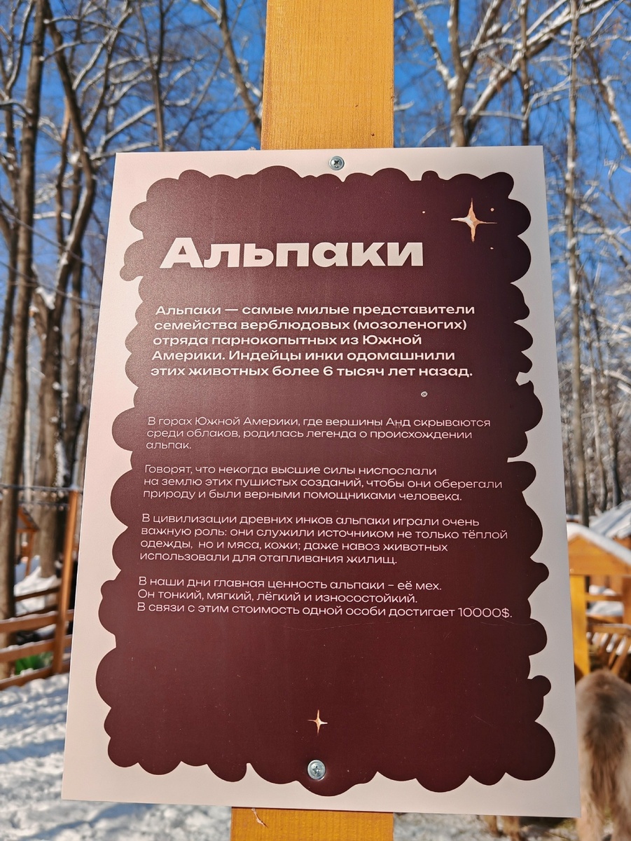 Облачные создания. Фото автора.