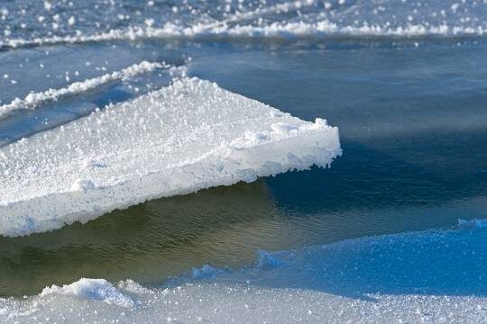    В Звенигороде продолжают искать пропавших подростков (фото: pxhere.com)