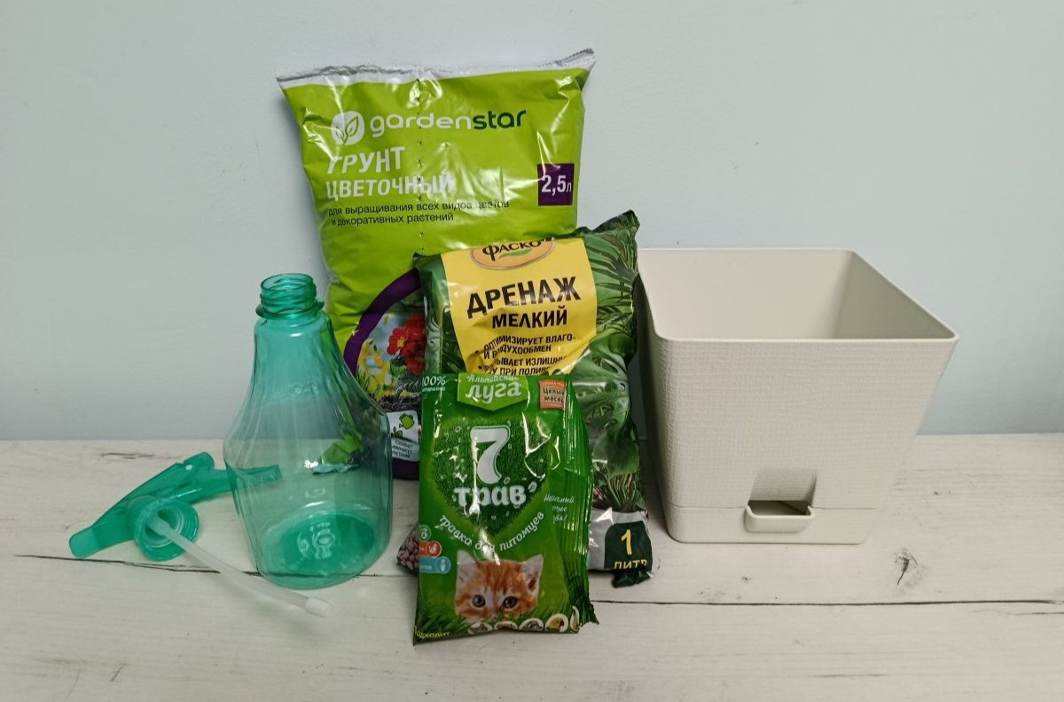 Вот все, что мне понадобилось, — и процесс посадки. Источник: личный архив Ольги Гребневой