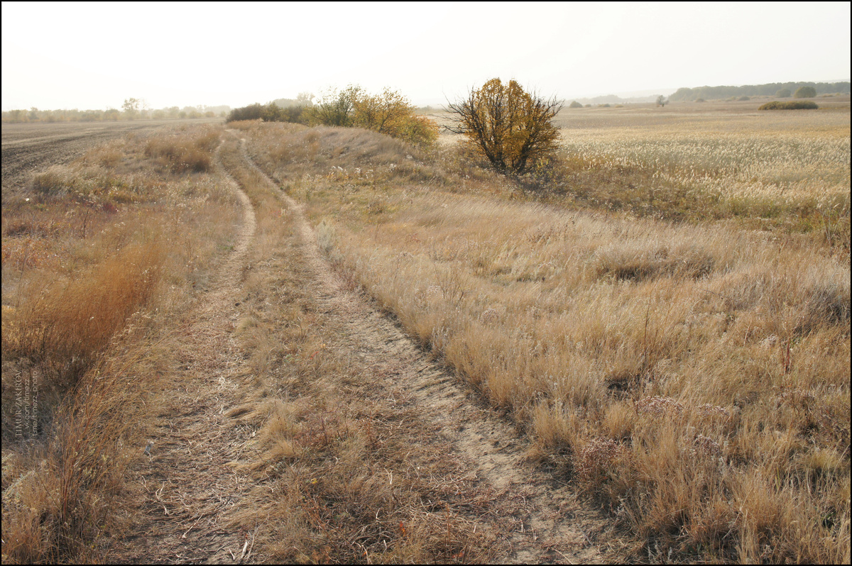 Здесь 4 фотографии, не пропустите, листайте >>>