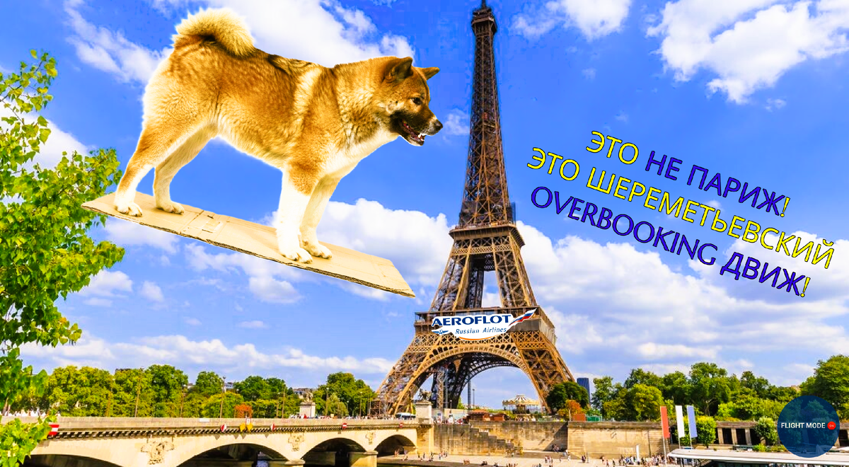 #овербукинг в авиакомпаниях#перепродажа#перепродажа билетов