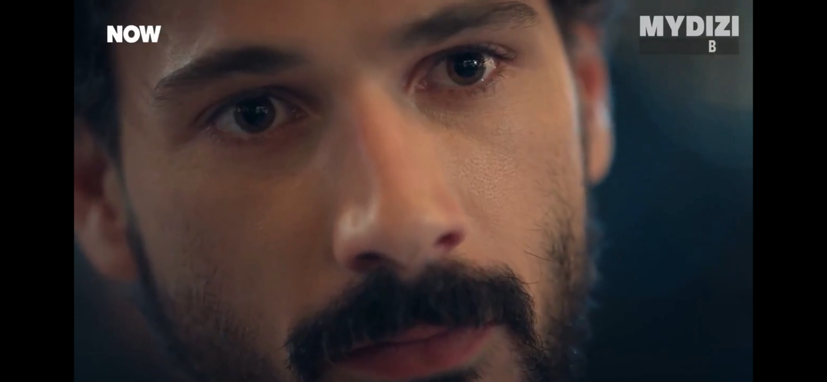 Фото из открытых источников интернета 