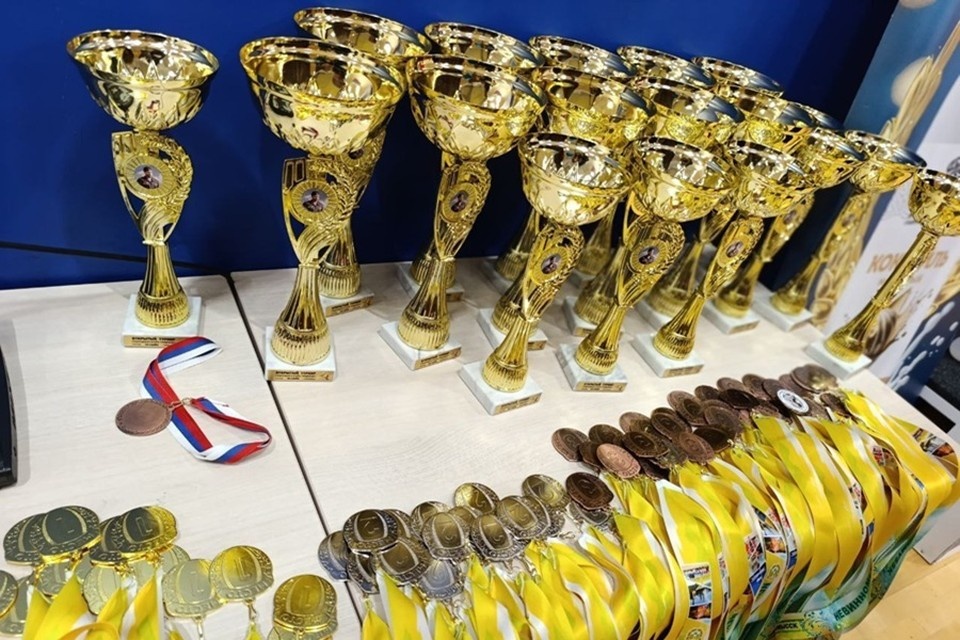    Сборная ДНР по самбо завоевала 13 медалей на турнире памяти Владимира Жоги. Фото: ТГ/Шатов