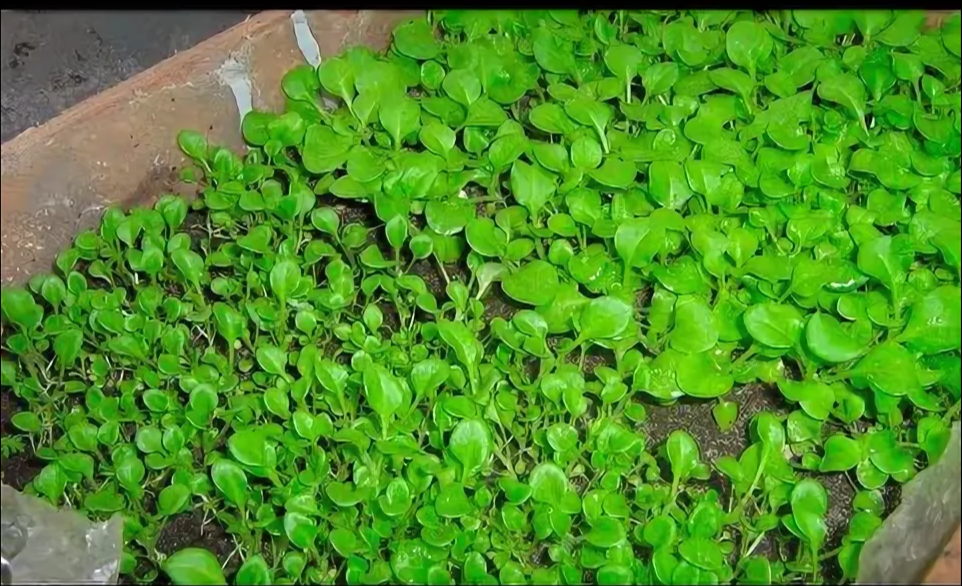 Фото взято с просторов интернета. 