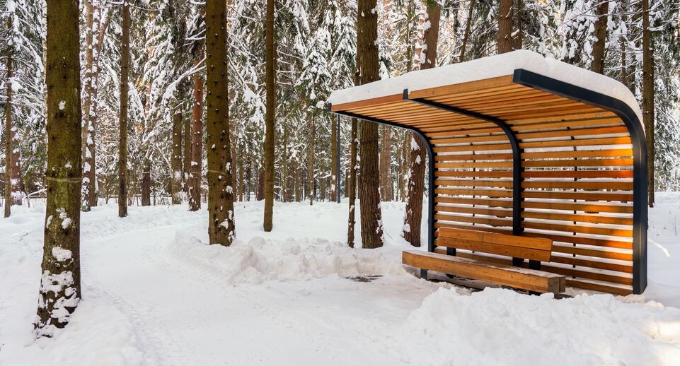    Зима в лесопарке «Масловский лес» Одинцовского округа / Медиасток.рф