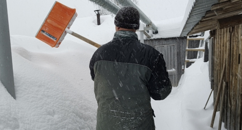    Фото progorod43.ru