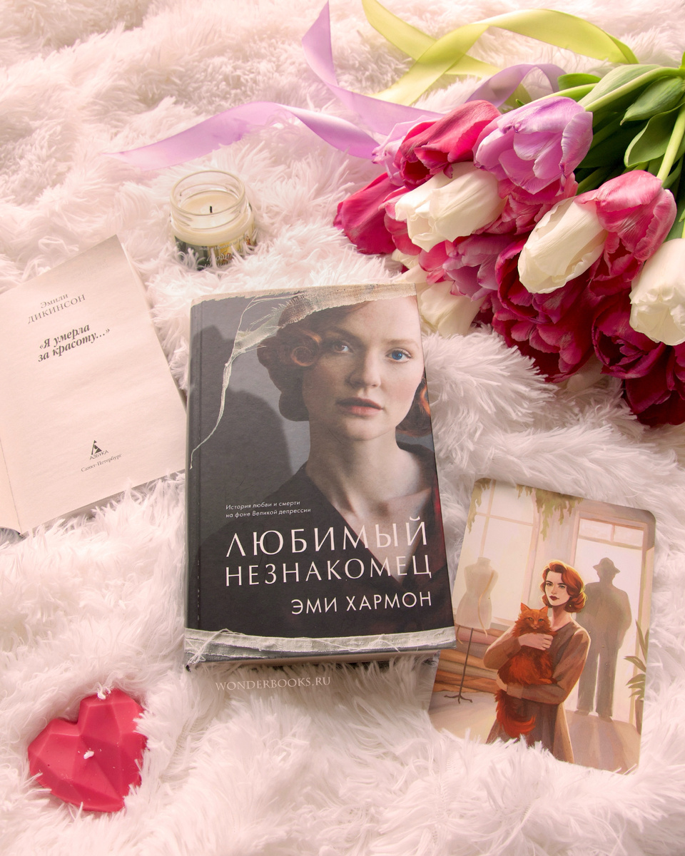 «Любимый незнакомец» Эми Хармон - отзыв на книгу