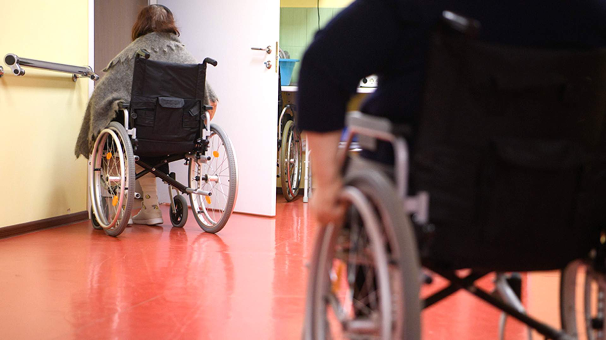 Фото: Global Look Press/Ilya Moskovets