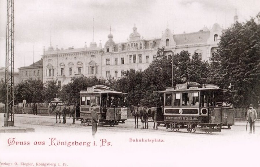 Кёнигсбергская кеонка на старой открытке. 