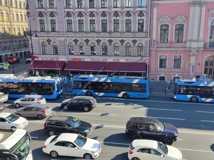     Пока «водные процедуры» проводят осторожно: днем и на прогретых участках. Фото: архив МК в Питере