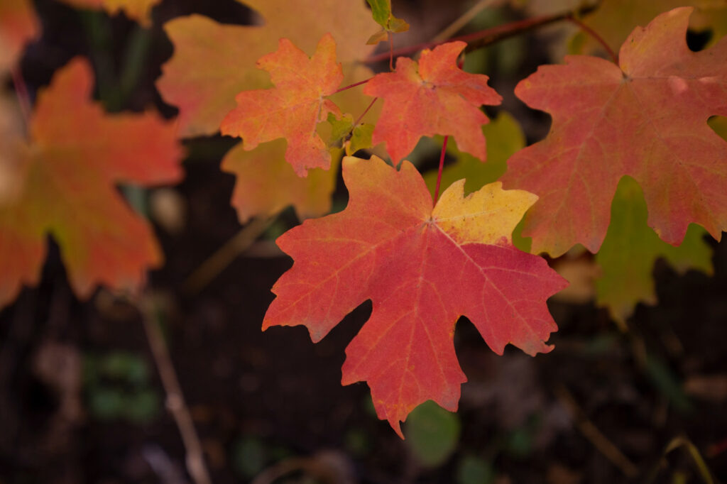    Фото: ru.freepik.com/