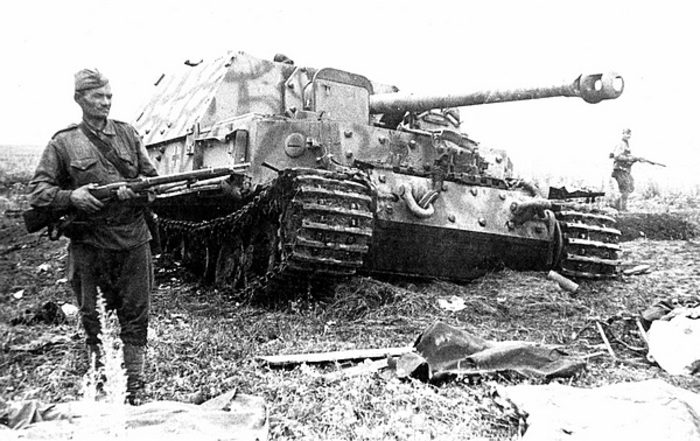 Фото из свободных источников.