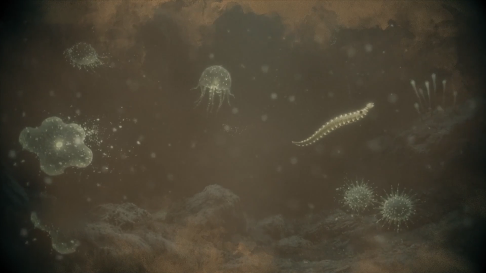 ФОТО: Кадр программы "Главные тайны мира", РЕН ТВ