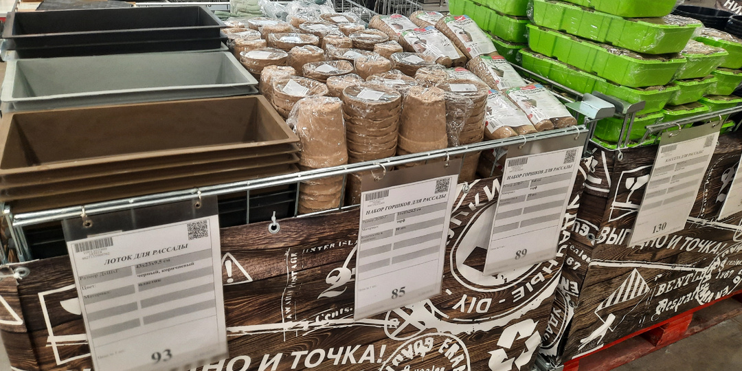 Новости из Максика