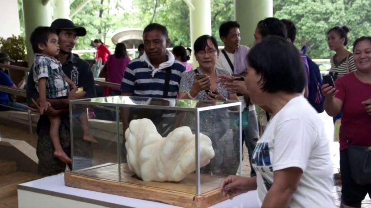 Жемчужина Пуэрто