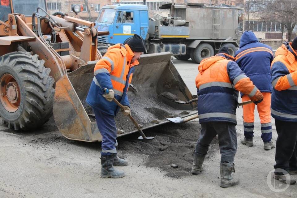    фото: Матвей Горбунов / "Городские вести"