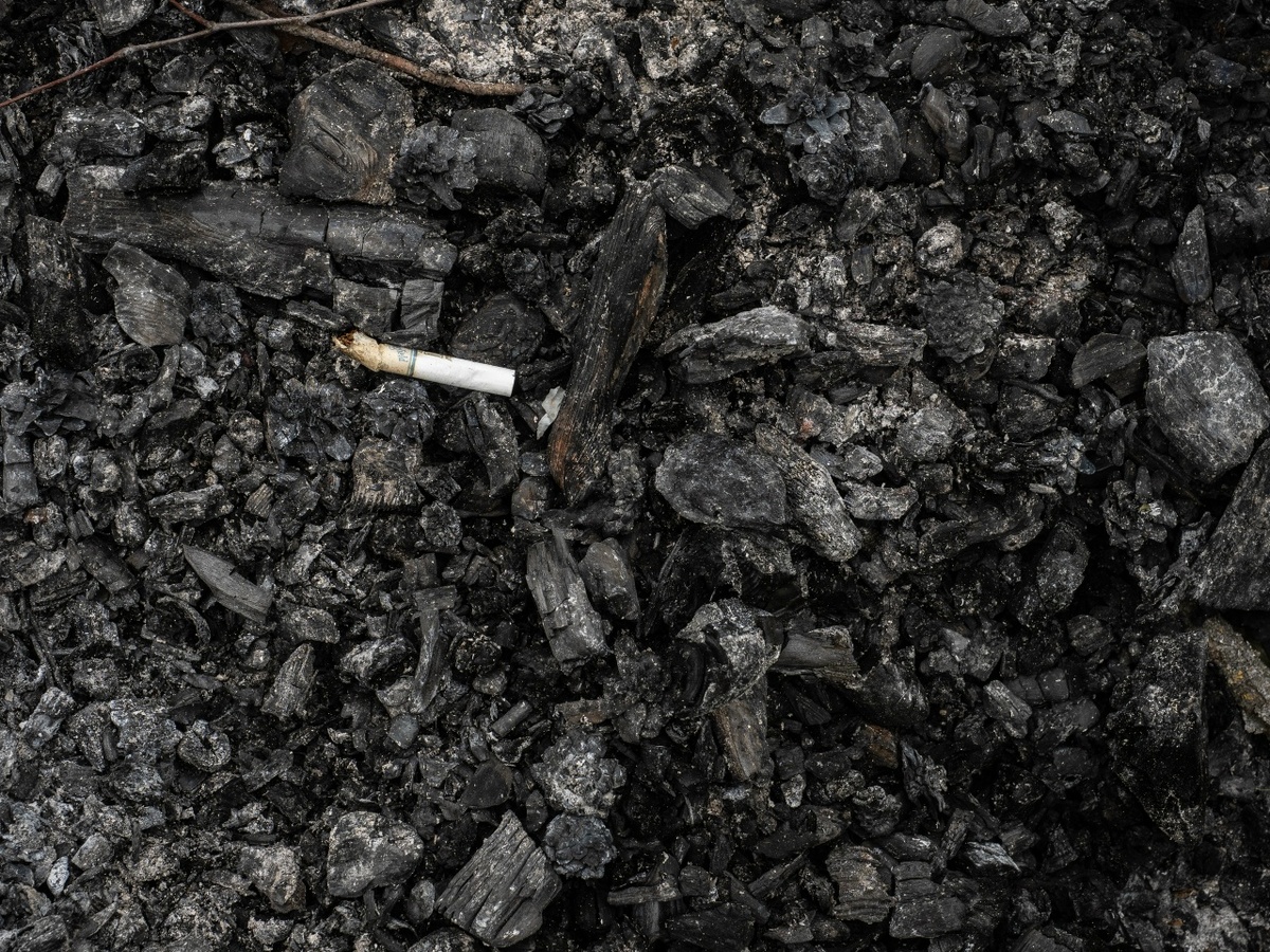    Фото: Андрей Федоскин Юра Белый