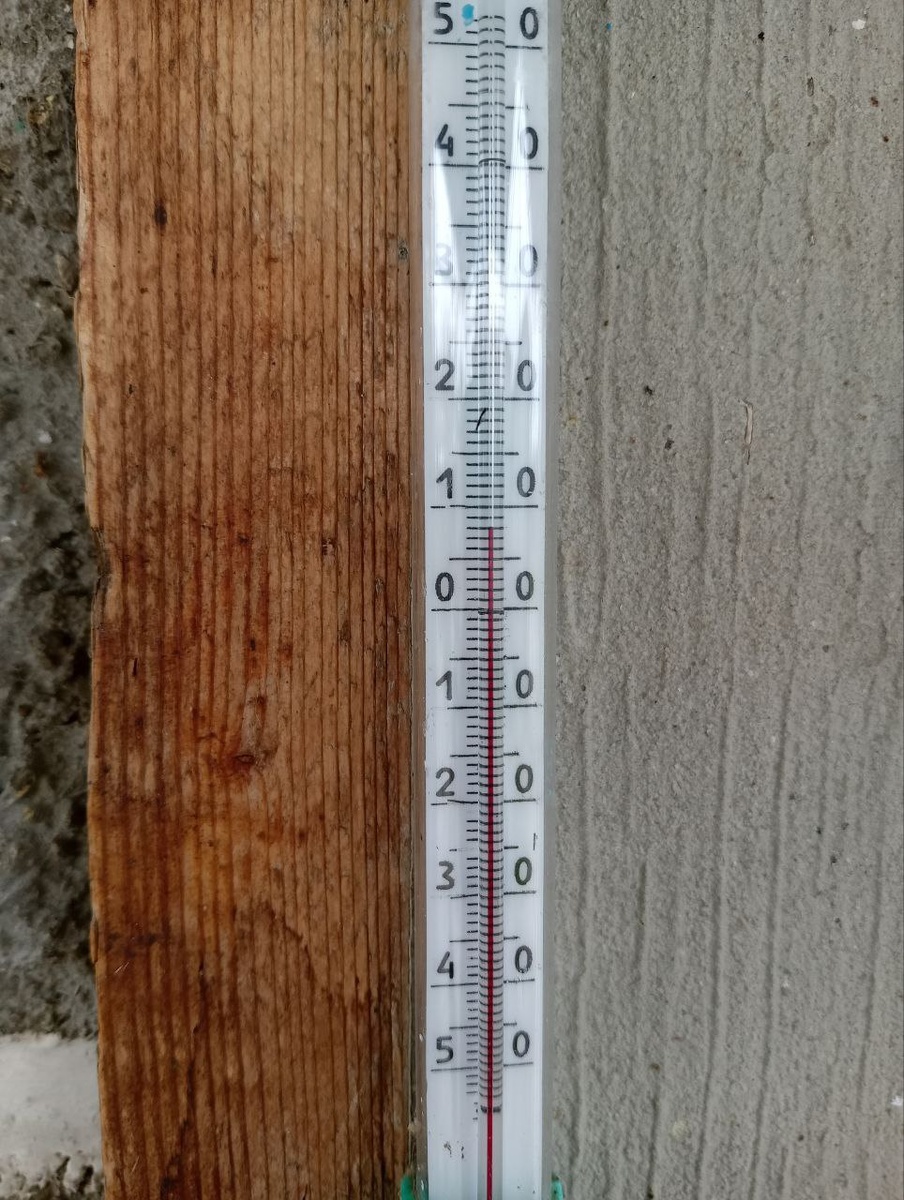 Фото автора, март 2026