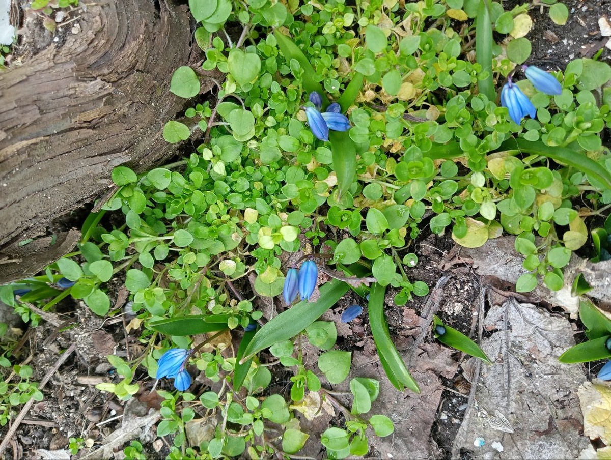 Фото автора, март 2026