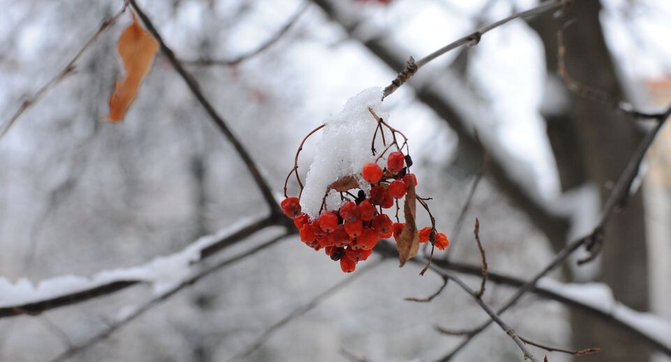    Медиасток.рф