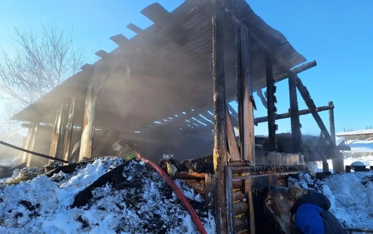    10 коз погибли при пожаре в Удмуртии