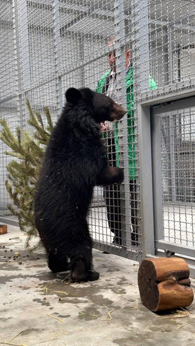 Иллюстрация: Парк "Малинки"