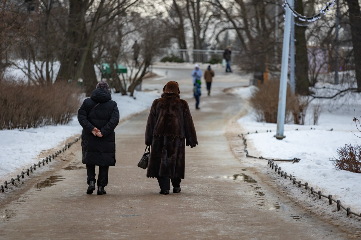 Фото: Дмитрий Фуфаев / «Петербургский дневник»