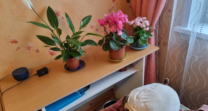    Фото Анастасии Дмитриевой