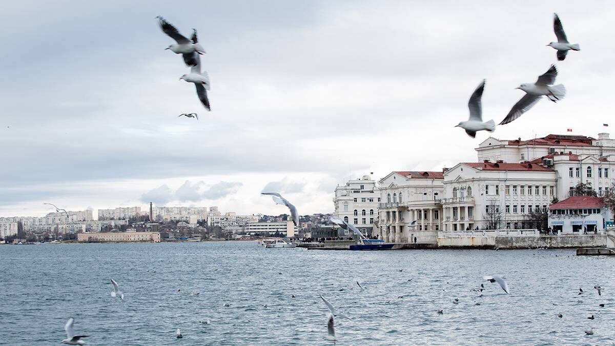    Фото: shutterstock