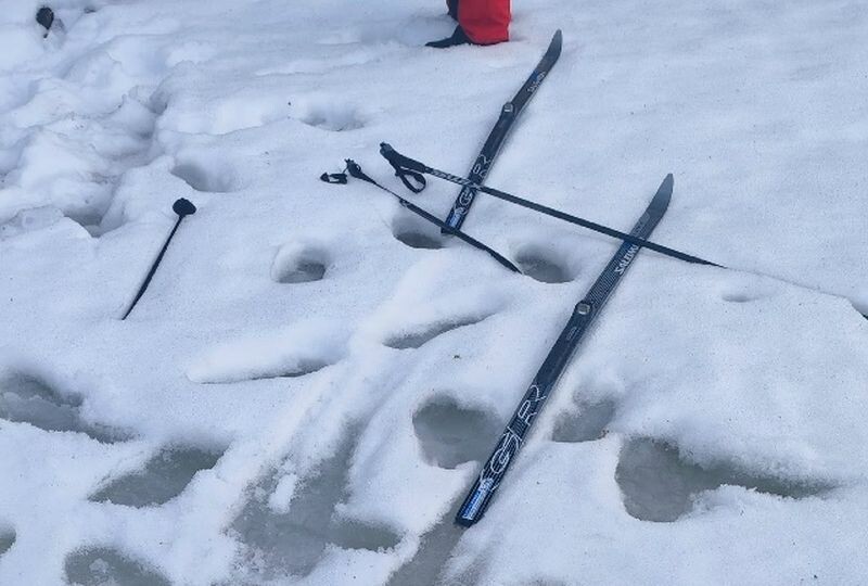    Лыжник из Санкт-Петербурга найден мертвым на льду Ладожского озера © коллаж "Столица на Онего" / отряд «Спас Северо-Запад»