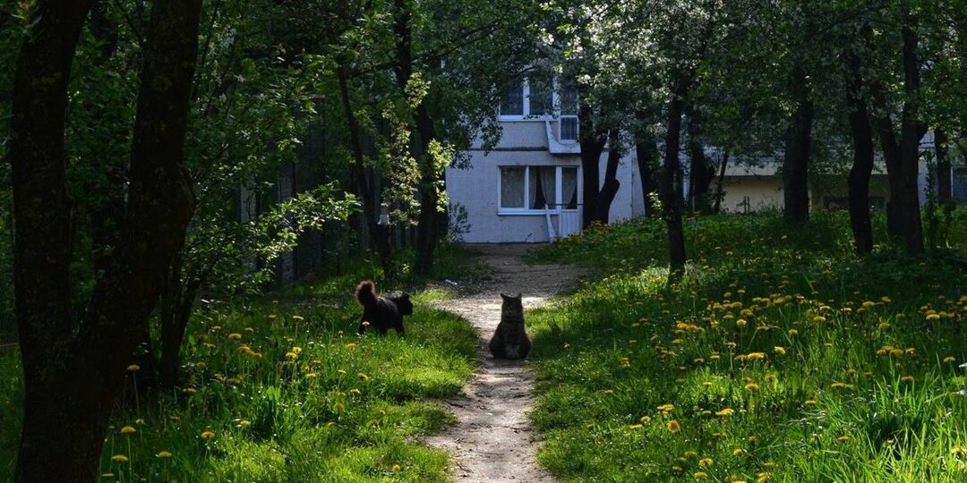 Сегодня было достаточно холодно, но, возможно, фотографии предстоящего весеннего тепла вас согреют