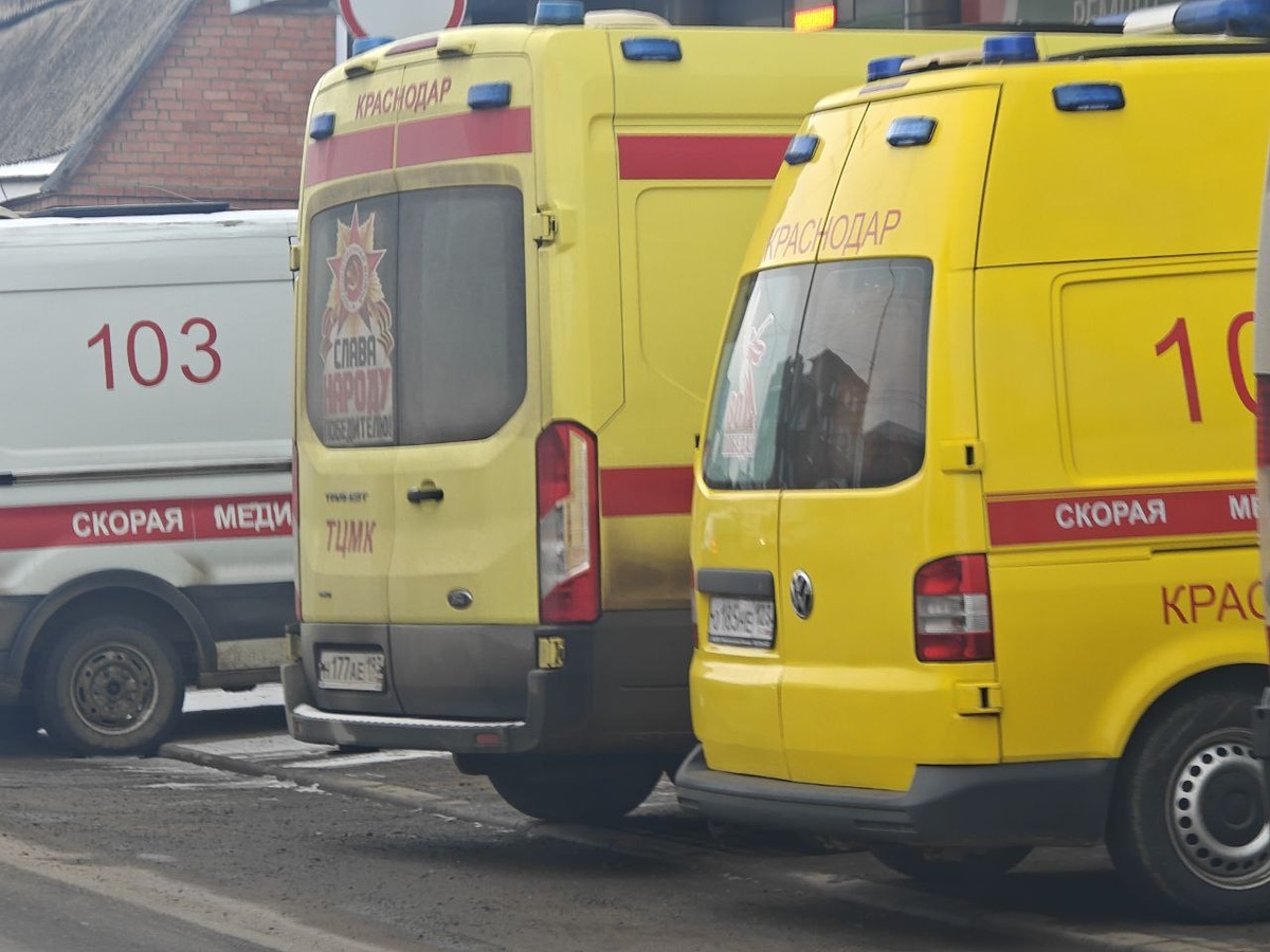    Фото: Юрий Серебренников/BFM Кубань